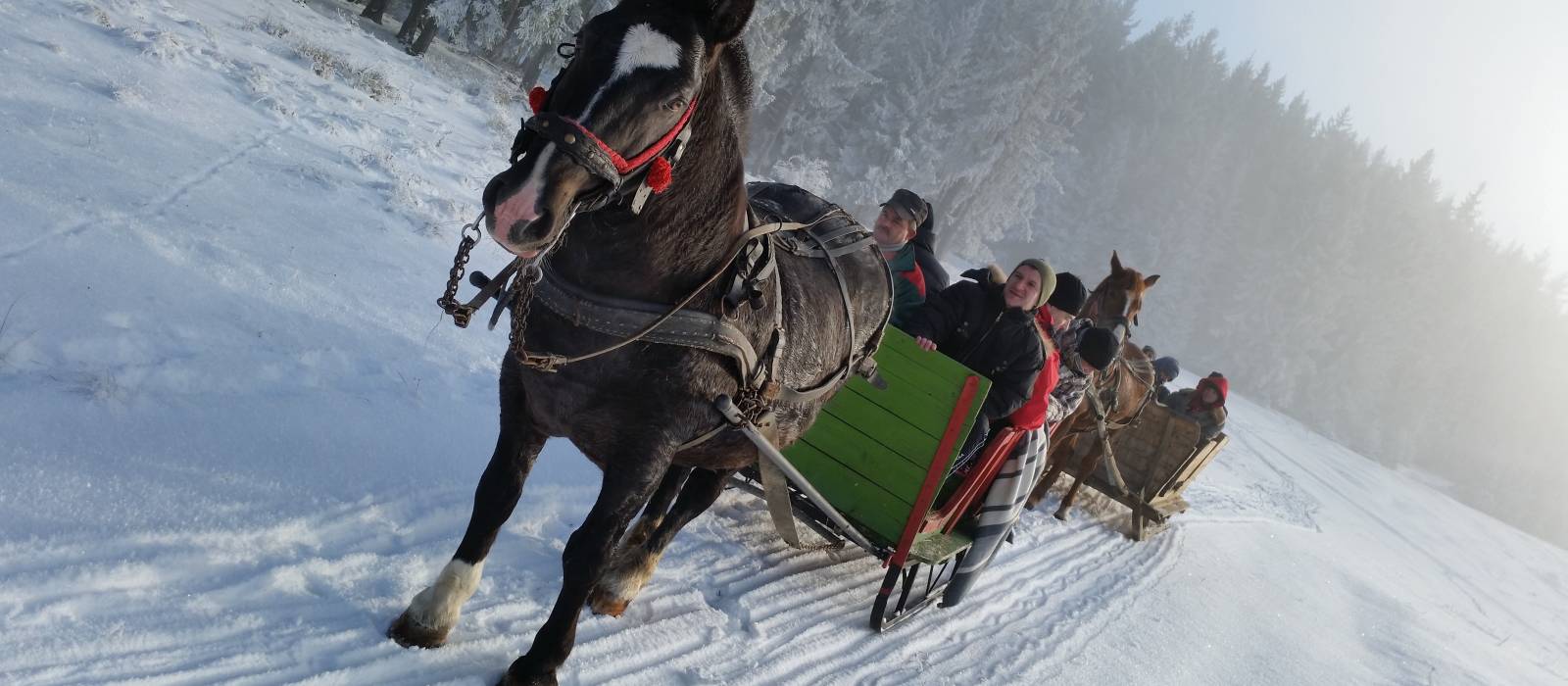 Activitate recreativă