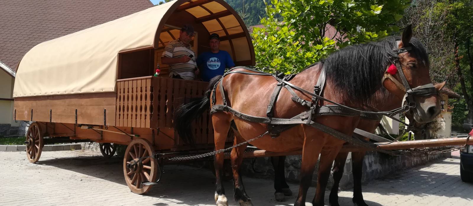 Activitate recreativă