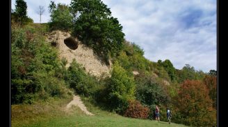 Cave Satu Mare