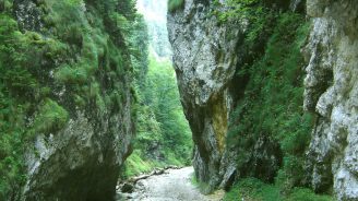 Gorge Zarnesti