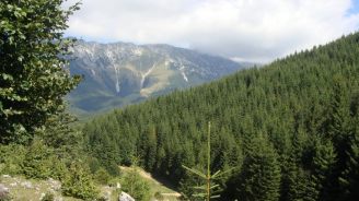 Mountain saddle Romania