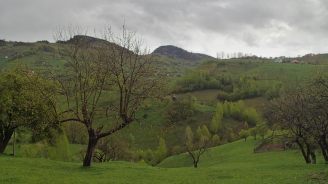 Sommet de la montagne Roumanie