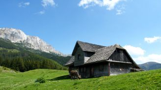 Poiană România