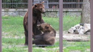 Grădină zoologică România