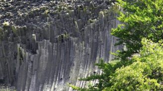 Rezervaţie naturală Bucium