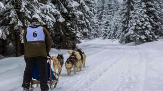 Organizator activităţi turistice România