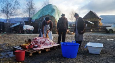 Tăierea şi pomana porcului - Mânănci şi bei cât ţine porcul.