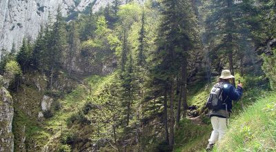 Demi-journée de trekking dans le parc national - Option 1