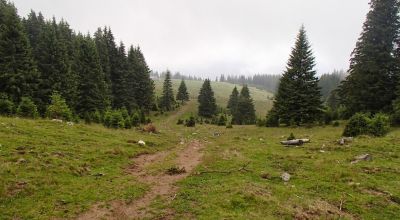 Half day trekking in Bucegi Mountains - version 2