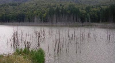 Cuejdel Lake Garcina