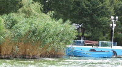 Ovidiu Insel Mamaia