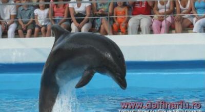 Dolphinarium Constanta