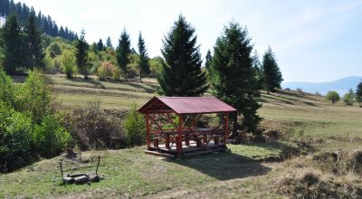 Picknickplatz Cozmeni