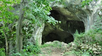 Bat Cave Moieciu - Pestera