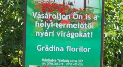 Grădina Florilor 