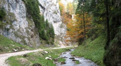 Dâmbovicioarei Schlucht Dambovicioara