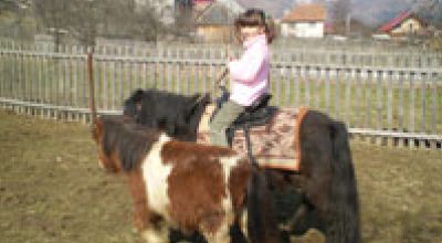 Pony reiten Moieciu de Jos