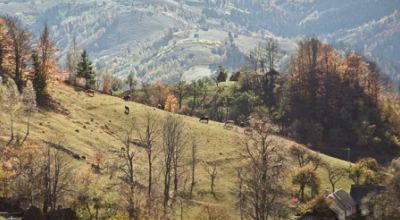  Măgura Peak Moieciu - Magura