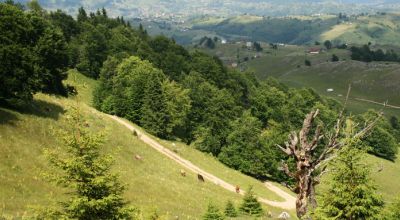 Spărturi Pic Moieciu - Pestera