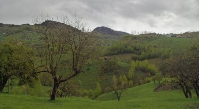 Dealul Mic Peak Moieciu - Magura