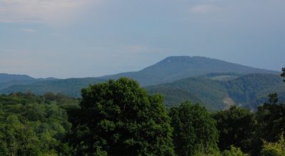 Rezervaţie paleontologică Vârful Gârbova Comăna