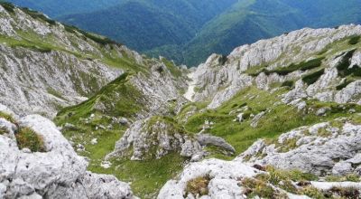 Tămaşului Mountain saddle Zarnesti