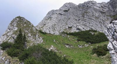 Închisă  Prairie Rucar