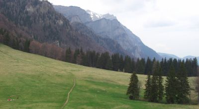 Stânii Regale Wiese Sinaia