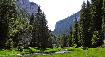 Zănoagei Gorge Moroieni