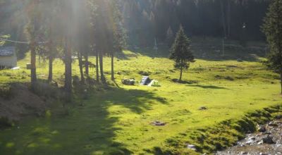 Rezervaţia Naturală Poiana Crucii Moroieni