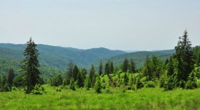  Plaiul Hoţilor Fosszilis lelőhely Moroieni