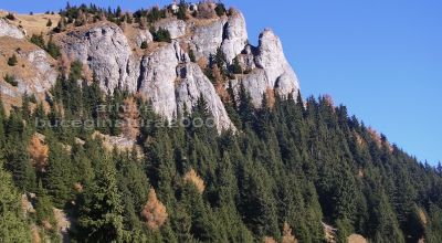 Rezervaţia Naturală Munţii Colţii lui Barbeş Sinaia