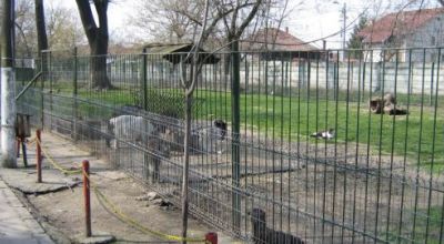 Grădina Zoologică Oradea