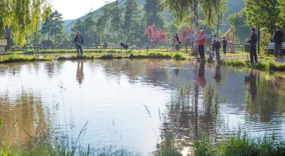 Păstrăvăria Câmpu Cetăţii Campu Cetatii