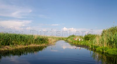 Comana Natural park Giurgiu