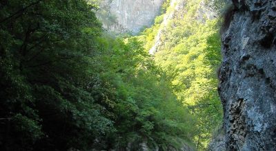 Grădiştea Muncelului Natural park Deva