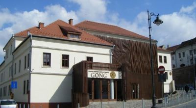 Gong Theatre Sibiu (Hermannstadt)