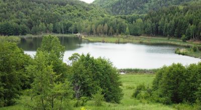 LACUL MOCEARU Buzău