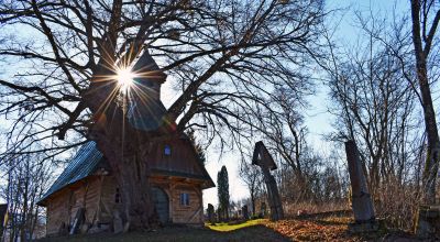 Capela de lemn şi cel mai vechi copac viu din Transilvania Eremitu