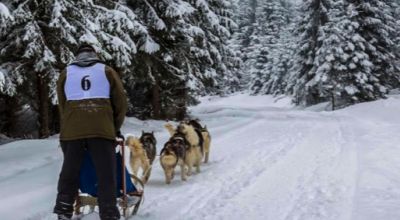 Sanie cu atelaje canine, Kalibáskő Vlăhita