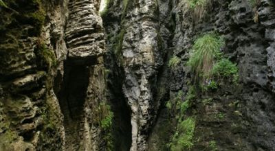 Bärenhöhle Borsec