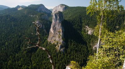 Békás-szoros – Nagyhagymás Nemzeti Park Lacu Roşu (Gyilkostó)