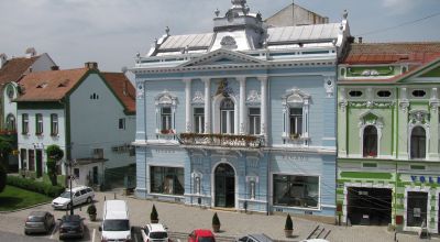 Vigadó Community House Targu Secuiesc