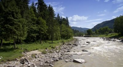 Forest Reserve Goşman-Tarcău Tarcau