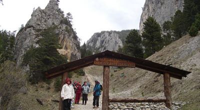 REZERVATIA NATURALA CHEILE ȘUGĂULUI - MUNTICELU Bicazu Ardelean