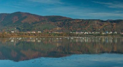 Protected areas - lakes Pângăraţi and Vaduri Bicaz