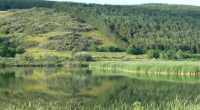 Taga Lake Ţaga