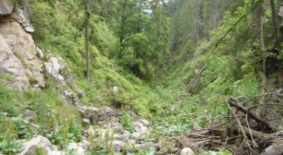 Dumitresei hegyszoros Măguri Răcătău (Szamosfö)