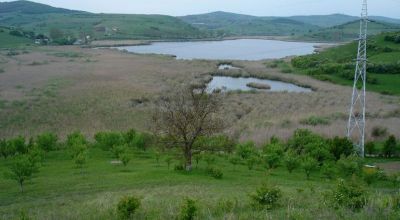 Csukák Tava Vegyes Nemzeti Park Sic (Székakna)