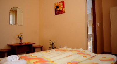 Pension Diadis Cluj-Napoca